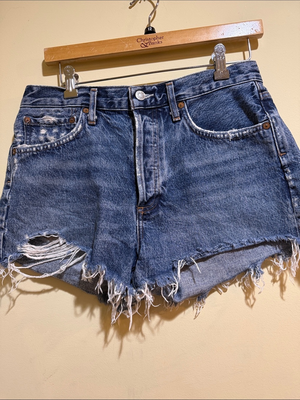Women’s Agolde Parker Vintage Cutoff Denim Short Swapmeet